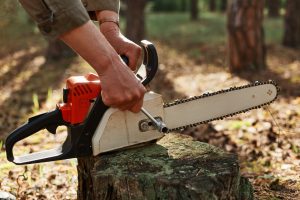 Best Chainsaw Sharpener